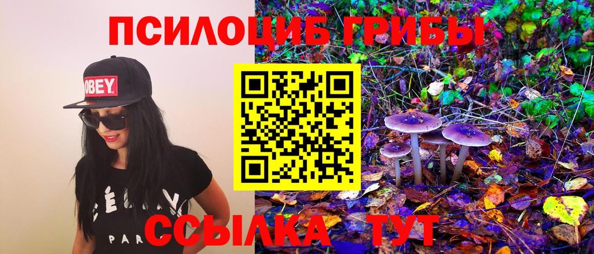 Псилоцибиновые грибы Magic Shrooms Ангарск